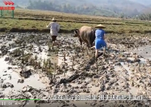 水陸機(jī)耕船